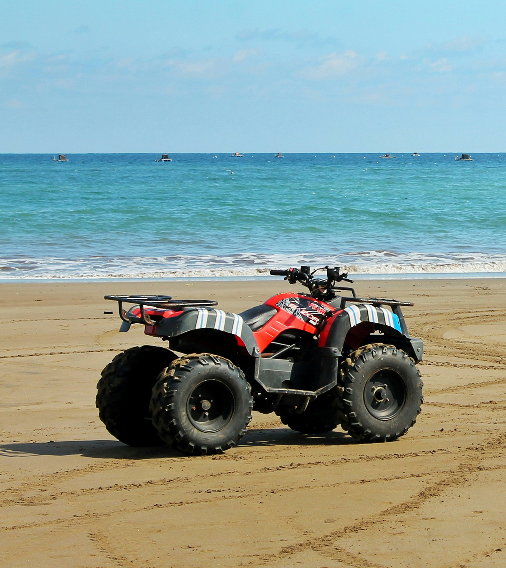 Available Rental Options